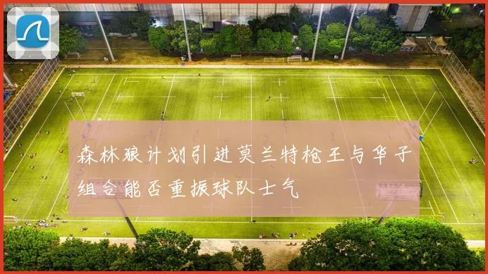 森林狼计划引进莫兰特枪王与华子组合能否重振球队士气