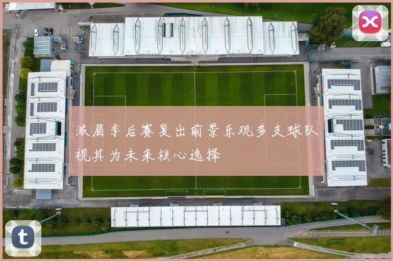 浓眉季后赛复出前景乐观多支球队视其为未来核心选择