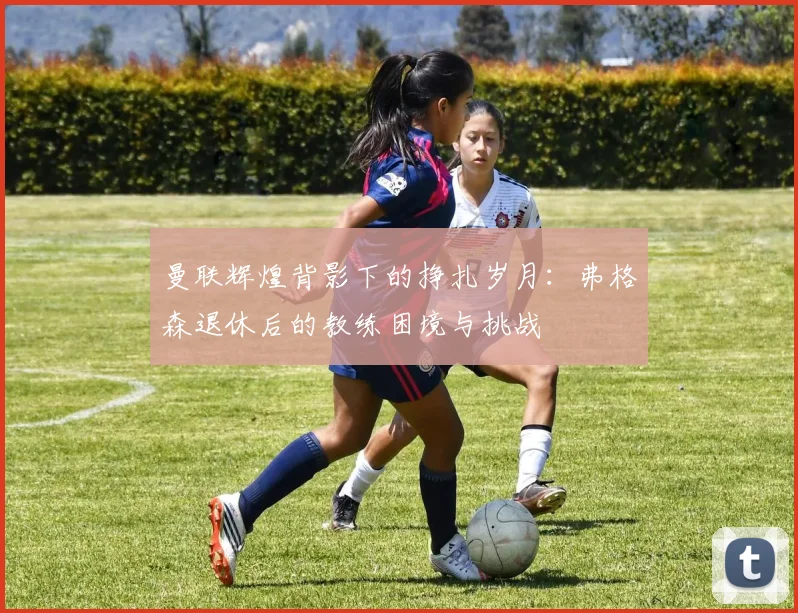 曼联辉煌背影下的挣扎岁月：弗格森退休后的教练困境与挑战